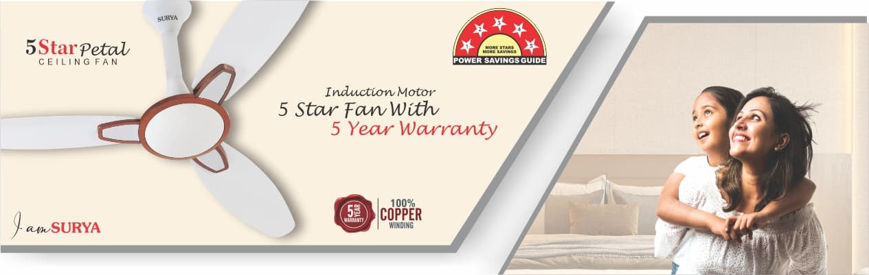 Decorative Ceiling Fans